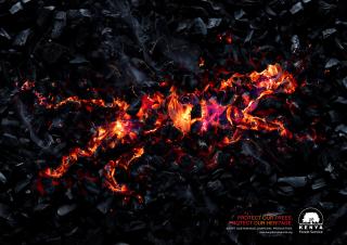 Forest Service: Embers - Cheetah